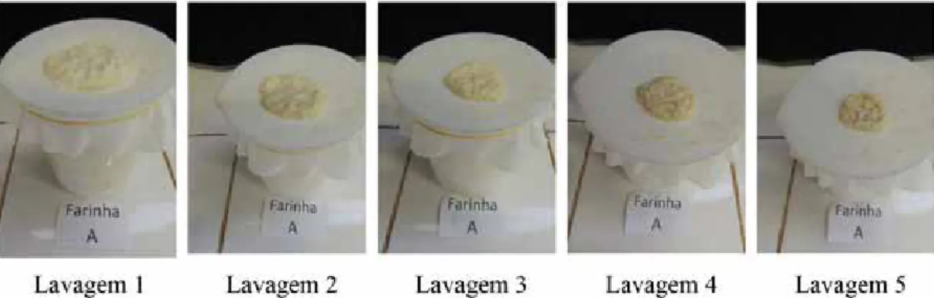 Figura 4: Processo de coagem farinha B.