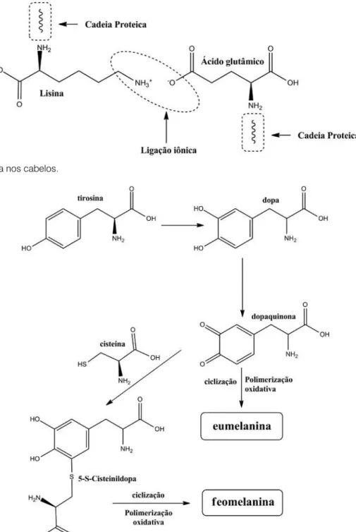 Figura 7: Mecanismos de formação das diferentes melaninas: eumelanina e feomelanina.