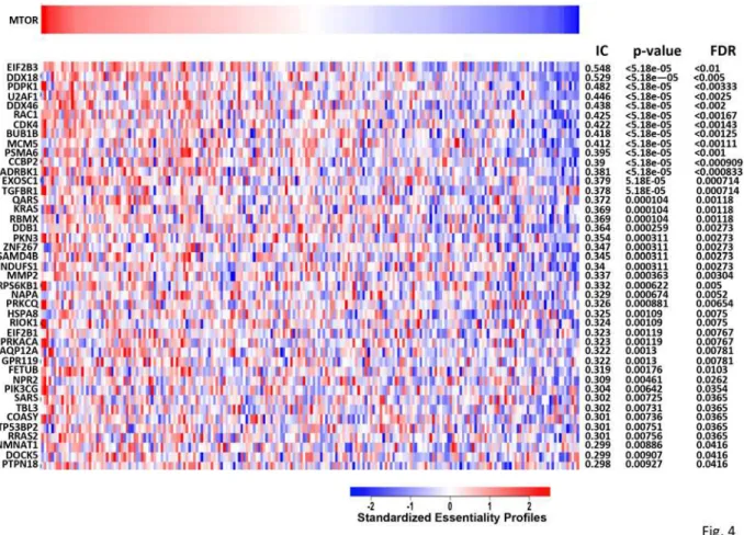 Fig 4. Confirmed S6-P positives whose depletion affects the viability of a panel of cell lines similar to that of mTOR depletion