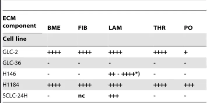 Figure 3. Video time laps analysis of SSP-mediated neurite-like outgrowth of SCLC cells on ECM constituents
