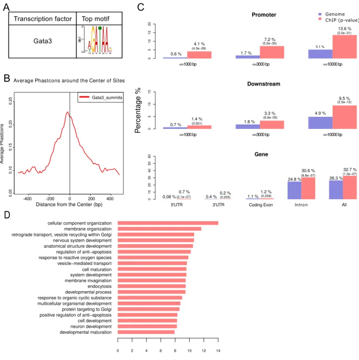 Figure 2. Genome-wide characterization of Gata3 binding sites in ChIP-seq. (A) Top binding motif identified by MEME-ChIP