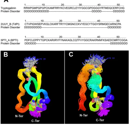 Figure 7B shows a comparison between the TdPI crystallo- crystallo-graphic structure and the best tryptogalinin model after the  all-atom refinement