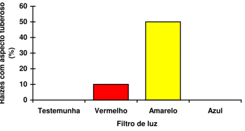 Figura 4 - Porcentagem de raízes de plântulas de mandioca (Manihot  esculenta Crantz), cultivar Urubu, com aspecto tuberoso sob  efeito dos filtros vermelho, amarelo e azul (Viçosa, Minas Gerais,  1999)