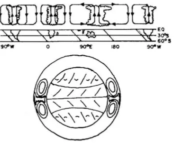 FIGURA 6 - Diagrama Esquemático Representando a Circulação de Walker.