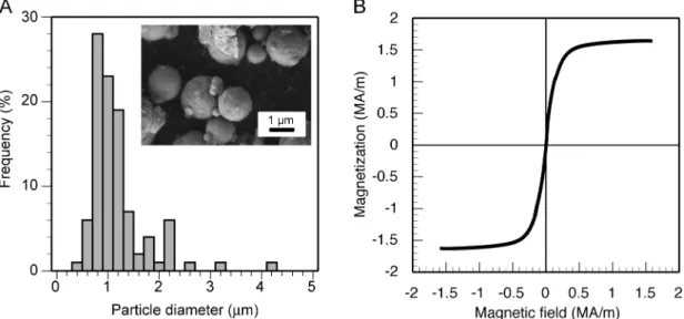 Fig 1. Ferromagnetic iron particles. (A) SEM image and size distribution of particles