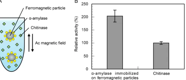 Fig 5. Activities of α-amylase immobilized on ferromagnetic particles and free chitinase under an ac magnetic field