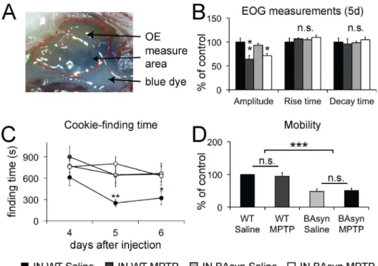 Figure 3. EOG recordings and cookie-finding tests after intranasal (IN) MPTP application