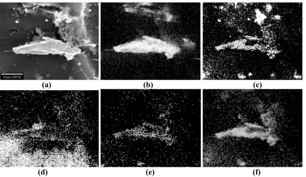 Figure 2.a. FESEM image of exotic microorganism from 3.3 km depth in Driefontein Gold Mine of  Fig
