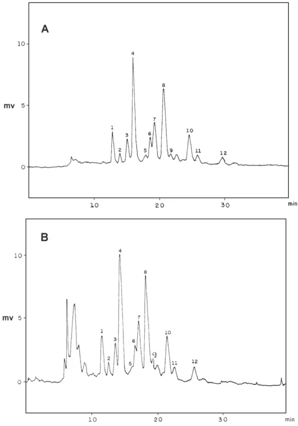 Figure 2. RP-HPLC chromatograms of (A) a purified TAG fraction, and (B) a crude hexane extract, from a cherry bean coffee sample (T 3 ) detected by LSD following gradient elution
