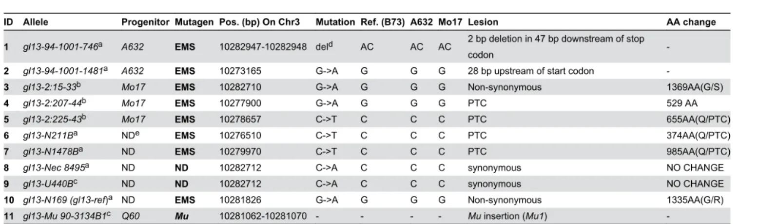 Table 1. Sequence Characterization of 11 gl13 mutant alleles.