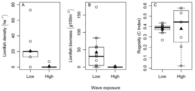 Figure 4. Effect of wave exposure (low/high) on lionfish abundance (density or biomass) and rugosity