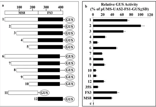 Table 1. Upstream Activation Sequence (UAS) of MS8 and downstream TATA containing sequence of FS3 present in each recombinant promoter.