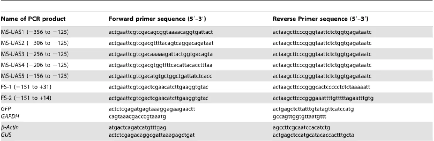 Figure 2. Fluorescence detection and transient assay of GUS (as 4-MU fluorescence) and GFP using a confocal laser scanning microscope (CLSM) for parental and hybrid promoters in tobacco protoplasts