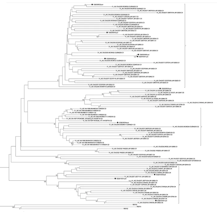 Fig 2. Neighbor-joining tree of HIV-1 CRF01_AE pol gene sequences. The phylogenetic tree was constructed with HIV-1 full-length gene pol sequences.
