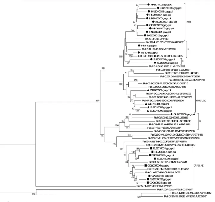 Fig 1. Phylogenetic analysis of characterized HIV-1 gag-pol gene sequences. The tree was midpoint rooted