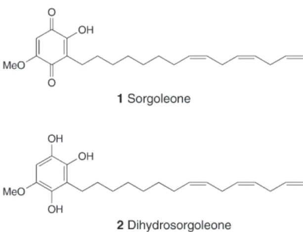 Fig. 2. Structures of synthetic sorgoleone analogues