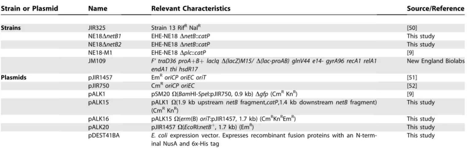 Figure 5. Cytotoxic Activity of Supernatants from EHE-NE18, EHE-NE18DnetB1, and Complemented Mutants