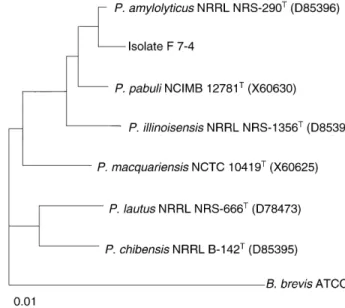 Fig. 1 Phylogenetic tree based on the align- align-ment of 16S rRNA partial sequence of isolate F 7±4 and Paenibacillus amylolyticus, P