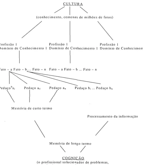 Figura 1 - Cultura na teoria cognitiva tradicional. 