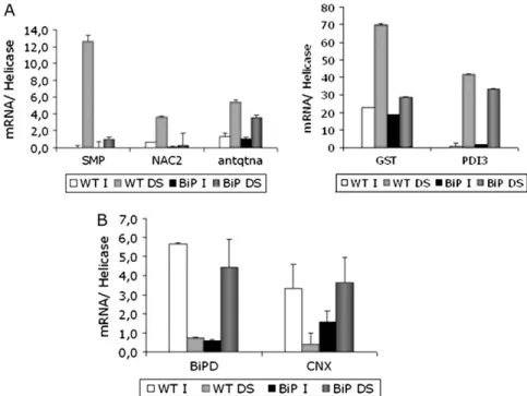 Fig. 6. Induction of drought-responsive genes in transgenic lines. (A, B) Drought was induced in soybean plants at the V3 developmental stage by withholding irrigation for 7 d