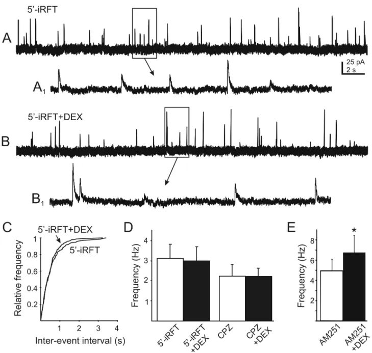 Figure  6).  Blocking  anandamide  transport  prevented  the