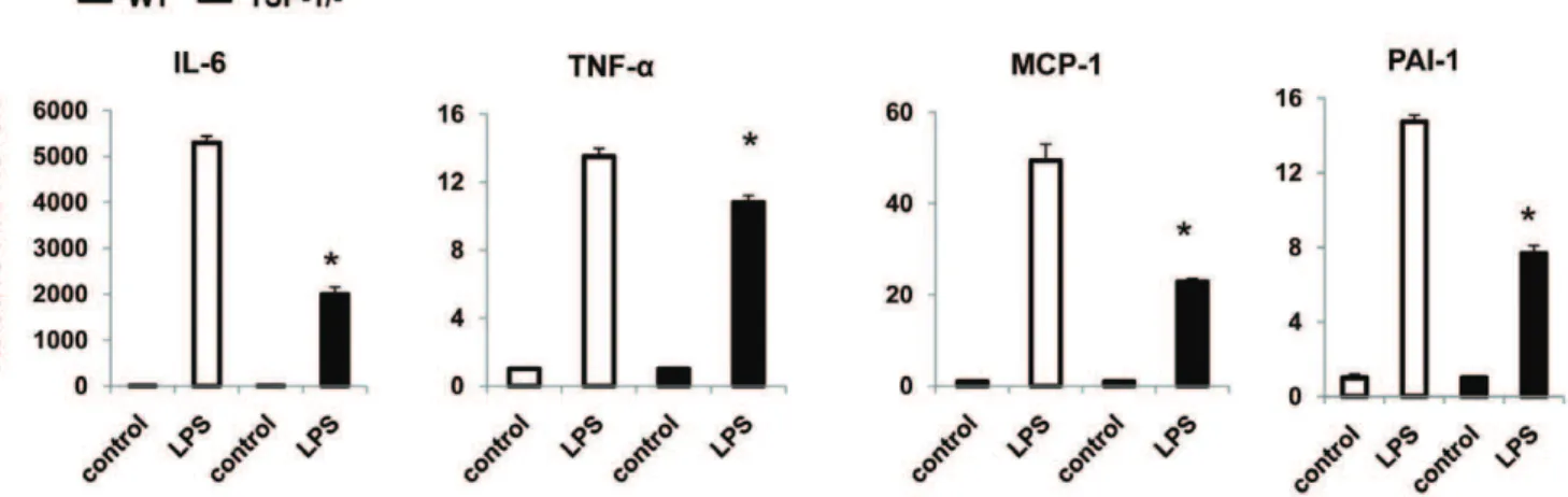 Figure 6. Macrophages from TSP1-/- mice had a reduced inflammatory phenotype. Bone marrow derived macrophages (BMDM) from WT or TSP1-/- mice were treated with or without LPS (100 ng/ml) for 3 hr