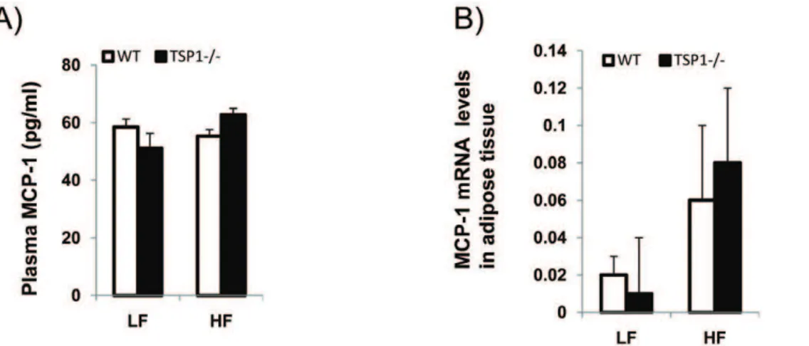 Figure 8. MCP-1 levels in plasma and in adipose tissue from four groups of mice. (A). Plasma MCP-1 levels were measured using a mouse adipokine assay kit (from Millipore); (B)