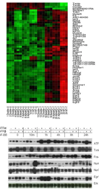 Figure 2. Representative PDGFR dependent differential gene expression in response to PDGF treatment