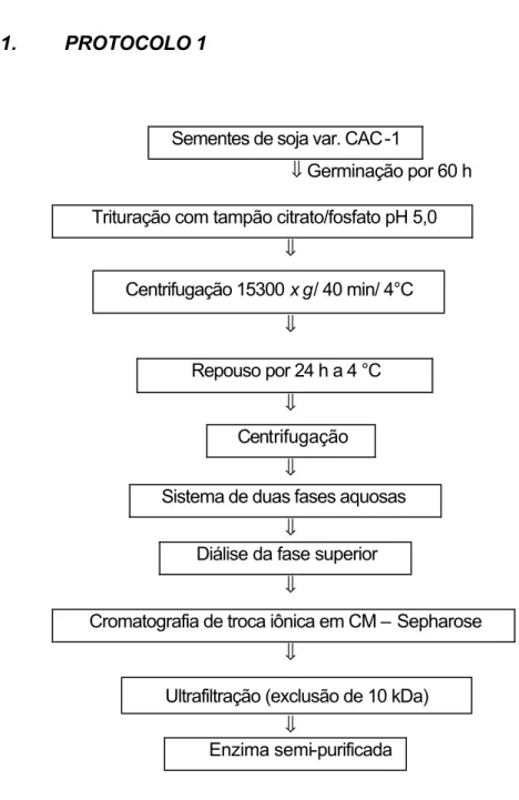 Figura 3 – Esquema das etapas de purificação. 