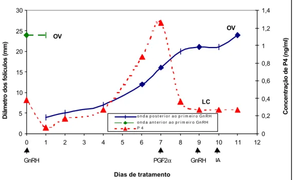 Figura 1  – Padrão de desenvolvimento folicular e comportamento da  concentração de progesterona plasmática em uma vaca tratada  com buserelina (10  µ g, Dia 0), PGF 2α  (250 mg, Dia 7) e  buserelina (10  µ g, Dia 9)