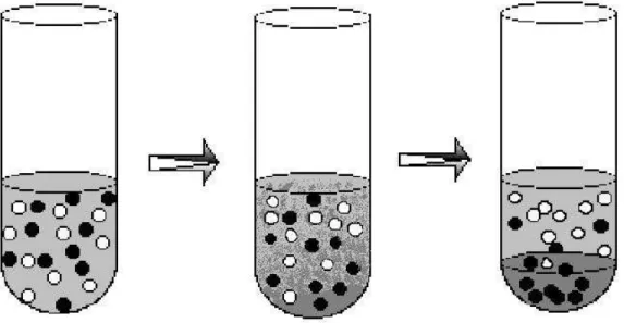 Figura 2.2  - Distribuição dos componentes e formação das fases ao longo do  tempo após a adição do solvente