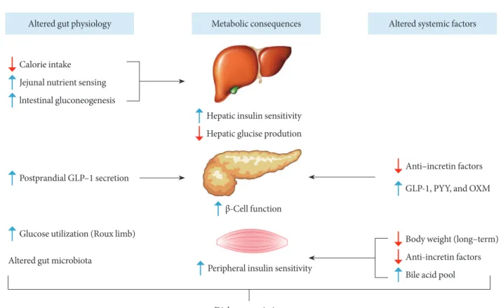 Fig. 3. Paradigm shit from surgery to medical therapy. (A) An historic example of the evolution of the anti-tuberculosis treat- treat-ment and (B) the outlook for potential bariatric/metabolic medicines instead of bariatric/metabolic surgery.
