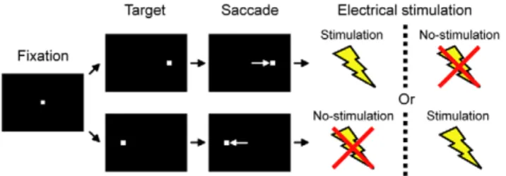 Figure 2. Effect of LHb stimulation on saccade latency. (A) Cumulative distribution of saccade latencies for ipsilateral saccades (left) and contralateral saccades (right)