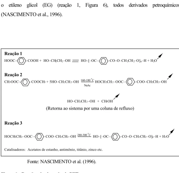 Figura 6 - Reações de obtenção de PET. 