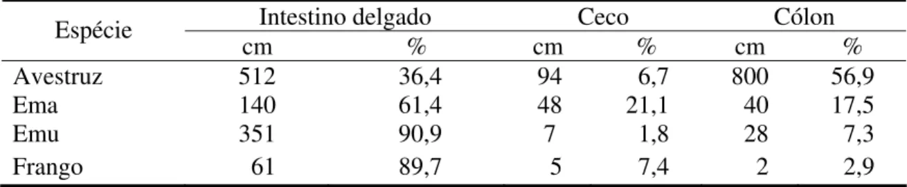 Tabela 1 -  Comprimento relativo do intestino delgado, ceco e cólon de avestruz, ema,  emu e frango