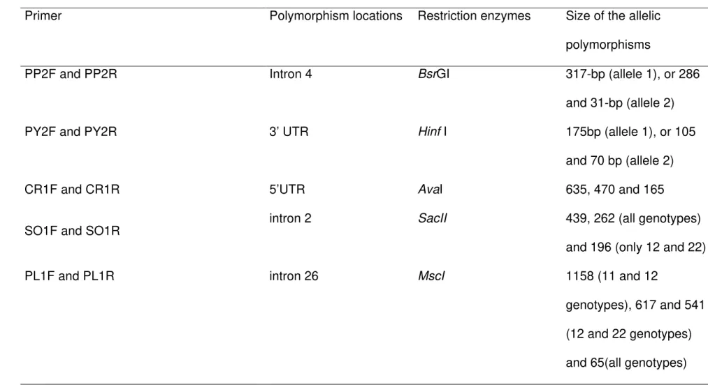 Table 2. Primer, Polymorphism locations, restriction enzymes, size of the allelic polymorphisms