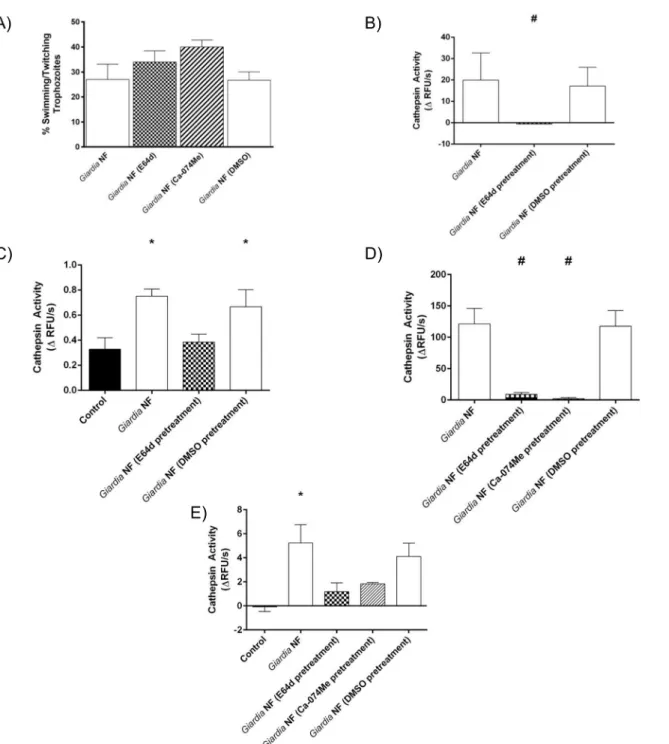 Fig 6. Pre-treatment of Giardia duodenalis trophozoites with E-64d or Ca-074Me inhibits cathepsin cysteine protease activity