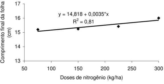 Figura 2  - Comprimento final das folhas expandidas (cm) de  Brachiaria decumbens, em  função das doses de nitrogênio
