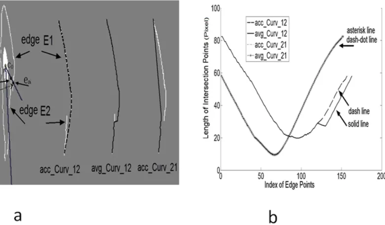 Fig 8. Four options of interpolation were compared: a) Interpolation results overlapped on cell image boundary in dark, unblocked e 2j and blocked points e 1i
