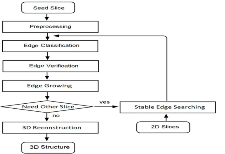 Fig 2. Flow chart of the image processing algorithm.