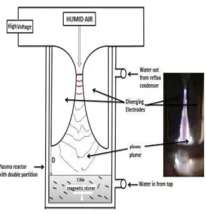 Figure 2. Scheme of the gliding arc batch reactor 