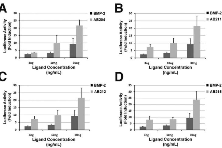 Figure 6. Smad1 Activity Assays. BMP-2 activity was compared to AB2 library chimeras using a Smad1 dependent luciferase reporter in C2C12 cells