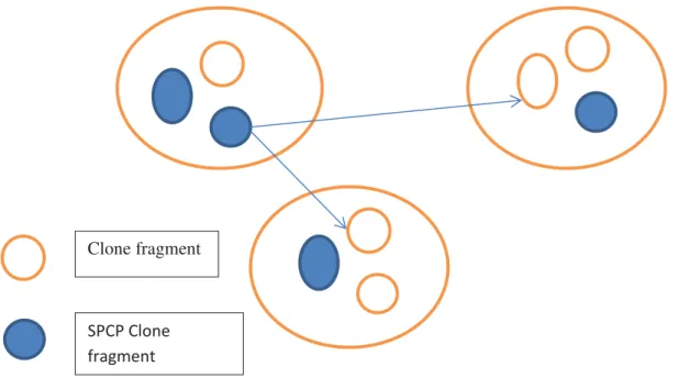 Figure 2: Clone fragment and non-fragment process [8] 