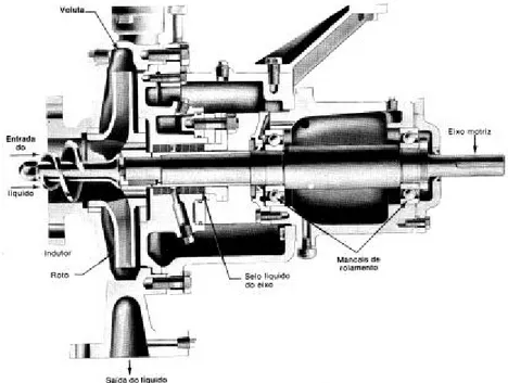 Figura 05 – Corte de uma bomba centrifuga