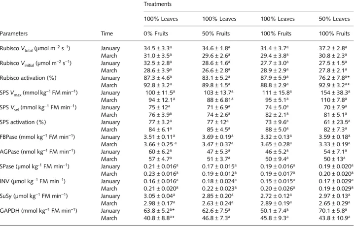 Table 3 The effect of source–sink imbalances performed through controlled defoliation and defruiting in field-grown coffee trees on the activities  of some enzymes associated with carbon metabolism: (Rubisco: total (V total ) and initial (V initial ) activ