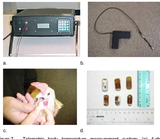 Figure 7 –  Telemetric body temperature measurement system: (a) 4-channel  receiver, (b) L-shaped antenna, c) feeding a transmitter pill to bird,  d) transmitter appearance after 1, 1, and 2  days (top), and 3, 4, and  4 days (bottom) of residence in bird 