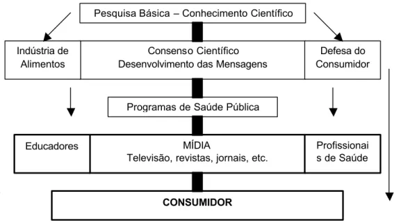 Figura 4 -  Fluxo de divulgação de informações sobre alimentação e nutrição até o  consumidor 