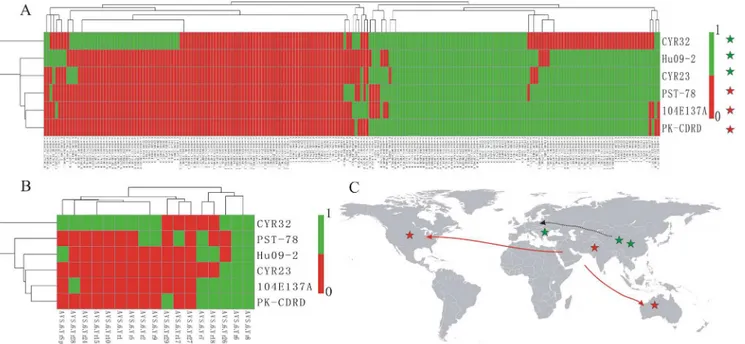 Fig 3. Relationships among six Puccinia striiformis f. sp. tritici (Pst) isolates. (A) Heat map and race relationship of six Pst isolates according to the INDEL variation in the 105 polymorphic SSRs using Pheatmap software