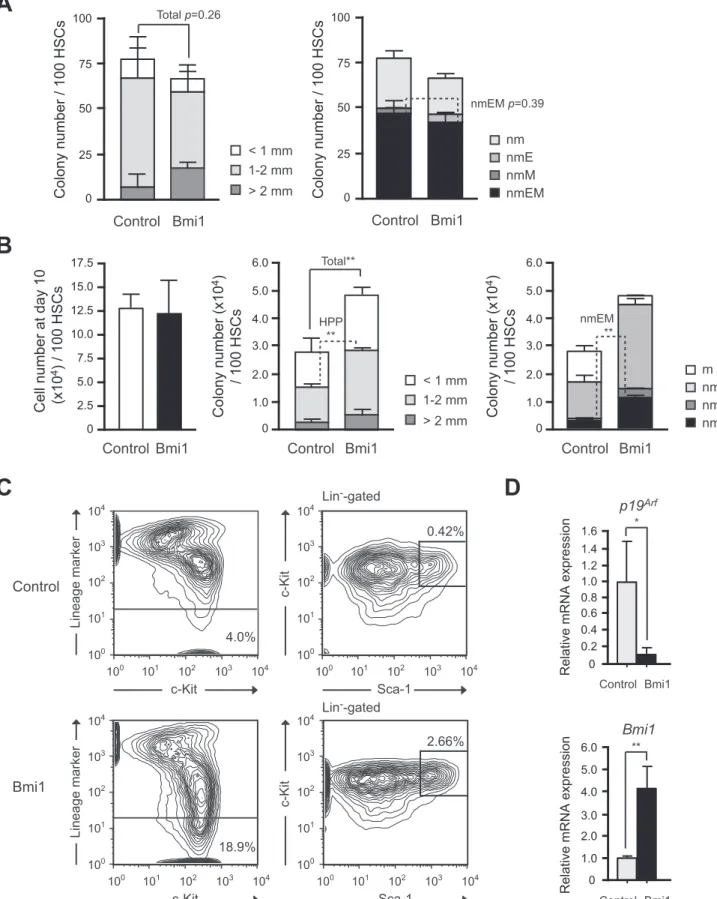 Figure 2. Effects of overexpression of Bmi1 on HSCs in vitro. (A) Colony formation by HSCs isolated from Tie2-Cre (Control) and Tie2- Tie2-Cre;R26Stop FL Bmi1 (Bmi1) mice