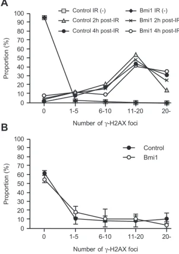Figure 5. DNA damage response of Tie2-Cre;R26Stop FL Bmi1 HSCs. (A) DNA damage response of CD34 - LSK cells from Tie2-Cre (Control) and Tie2-Cre;R26Stop FL Bmi1 (Bmi1) mice in vitro